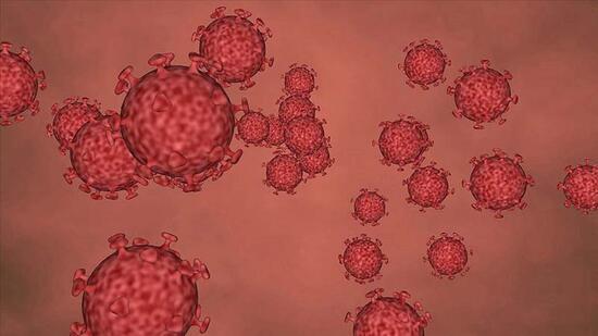 SON DAKİKA haberi... Dünyada koronavirüsle mücadele! İşte son durum 