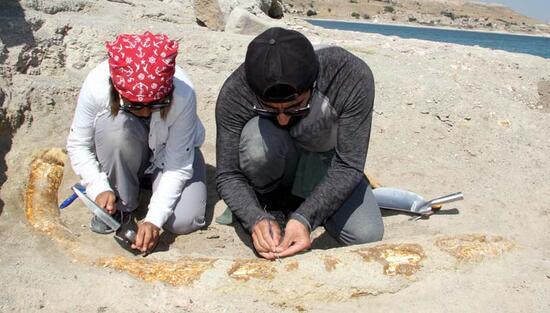 Son dakika... Kazı çalışmaları yeniden başladı; 7,5 milyon yıllık 2 fosil daha bulundu