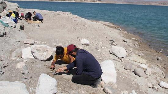 Son dakika... Kazı çalışmaları yeniden başladı; 7,5 milyon yıllık 2 fosil daha bulundu