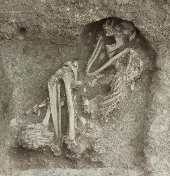 Apartmanın bahçesinde bulundu! 8 bin 500 yıllık insan iskeleti