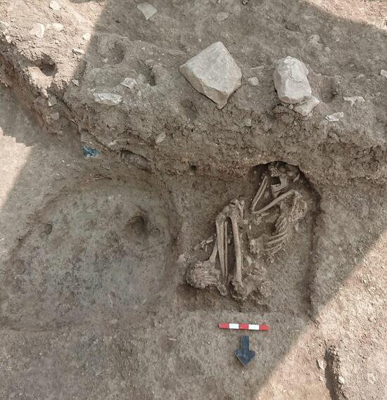 Apartmanın bahçesinde bulundu! 8 bin 500 yıllık insan iskeleti