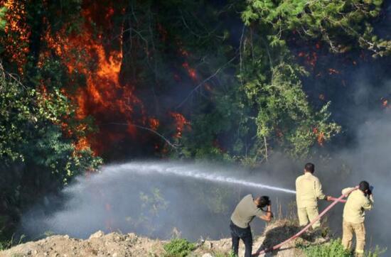 Hatay'daki orman yangını kontrol altına alınmaya çalışılıyor