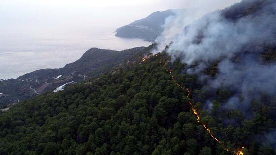 Anamur'daki orman yangınında 150 hektar alan zarar gördü