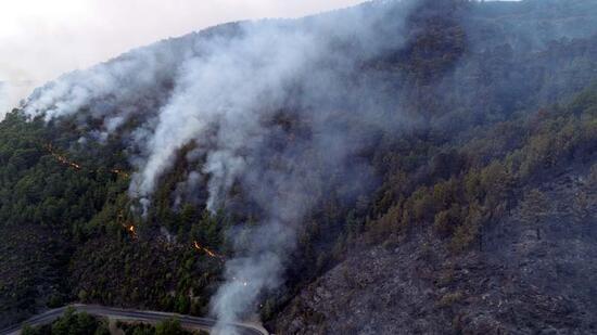 Anamur'daki orman yangınında 150 hektar alan zarar gördü