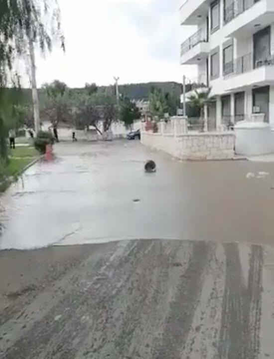 Улиците и улиците бяха наводнени след земетресението