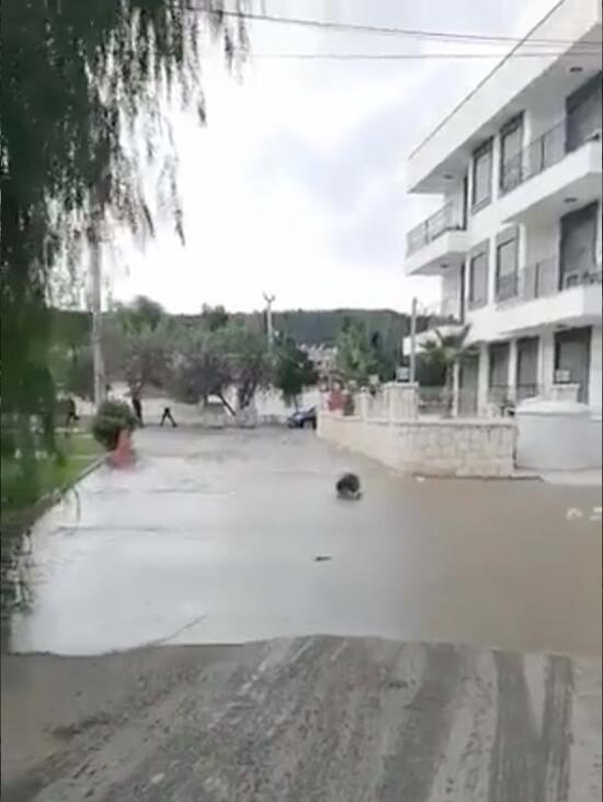  Улиците и улиците бяха наводнени след земетресението 