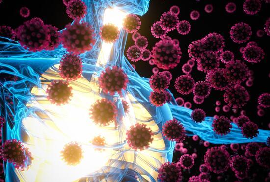 Koronavirüse karşı bağışıklık 8 aya yakın sürüyor