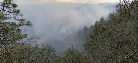 Trabzon’da 2 ilçede orman yangını