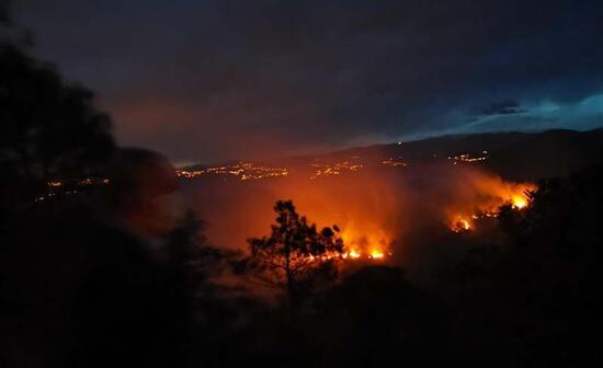 Trabzon’da 2 ilçede orman yangını