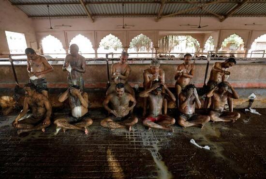 Hindistan’da halk koronavirüse karşı vücutlarına inek dışkısı sürmeye başladı