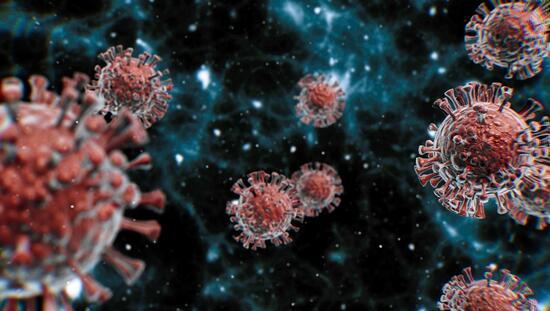 ABD'de yeni araştırma: COVID-19'a karşı 'ömür boyu antikor' umudu