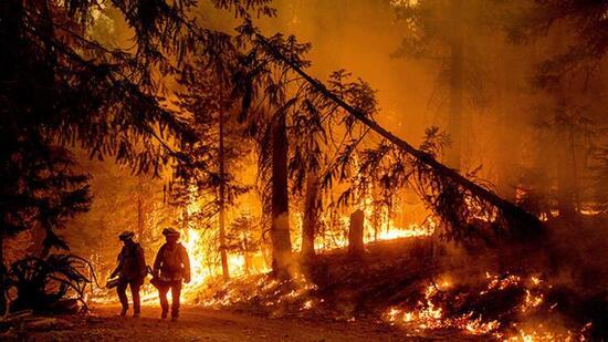 Son dakika: Dünya orman yangınlarıyla mücadele ediyor! Acil durum ilan edildi...