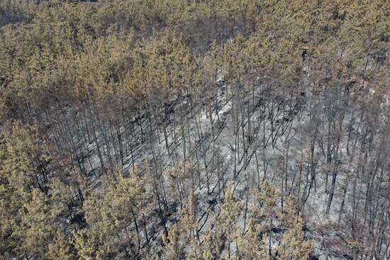 Bodrum ve Milas'ta yanan ormanlık alanlar havadan görüntülendi