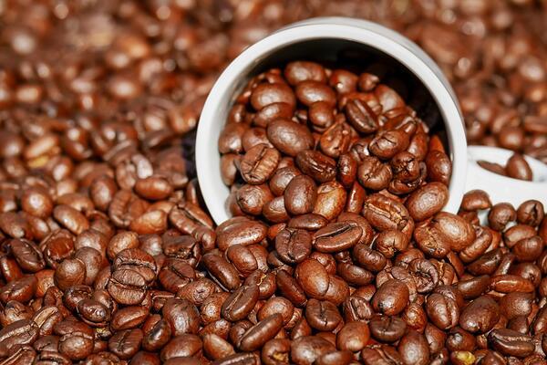 Kahve içtiğimizde vücudumuzda neler oluyor? - Sağlık Haberleri