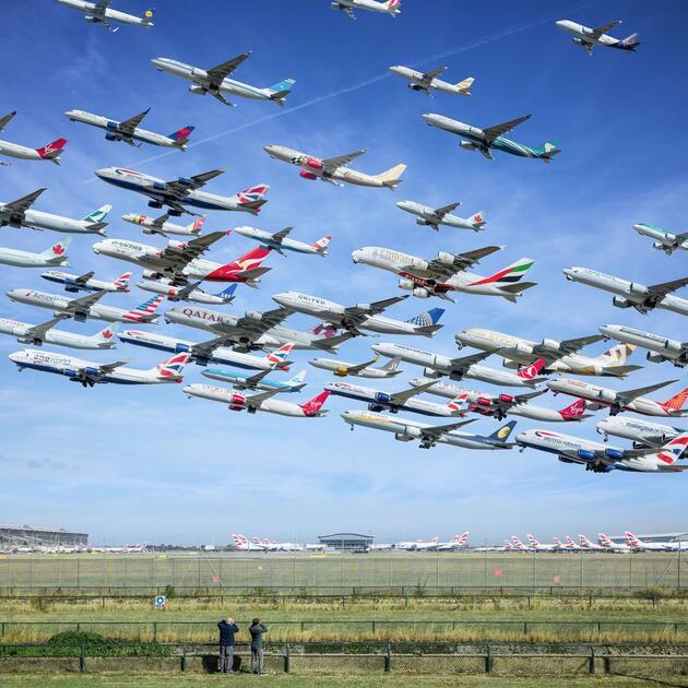 Haber Kuş sürülerinin yerini uçak sürüleri alınca böyle olacak