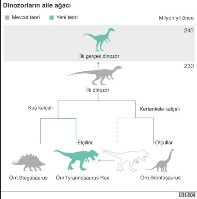 Dinozorlarla Ilgili Tum Bildiklerinizi Unutun Teknoloji Haberleri