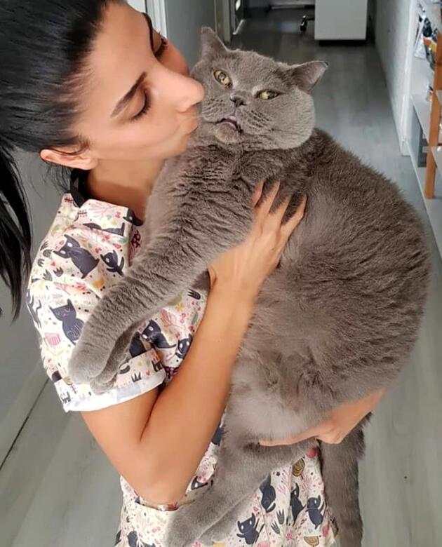 Obez kedi egzersizle 4,5 kilo verdi