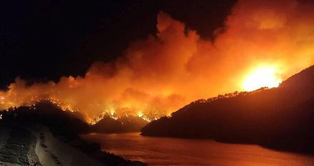 Herkes bunu merak ediyor: Orman yangınları aynı anda nasıl başladı? - Son  Dakika Haberleri İnternet