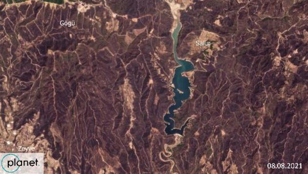 Greenpeace, yanan alanların uydu görüntüsünü paylaştı