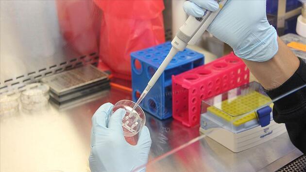 PCR testi 'zorunlu' tutabilir mi? Uzmanlar yanıtladı