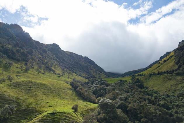 Kolombiya'nın kahve bölgesi Manizales'in doğası ziyaretçilerini cezbediyor