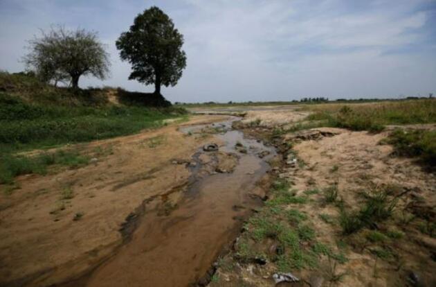 Paraguay’da 117 yılın en büyük kuraklığı yaşanıyor