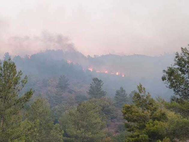 Muğla'da çıkan orman yangınına müdahale ediliyor