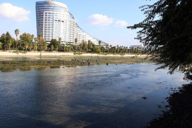 Yosunlardan temizlenen Seyhan Nehri, eski güzelliğine kavuştu