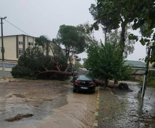Aydın'da fırtınanın bilançosu; 7 yaralı, 15 iş yeri ile 17 araçta hasar