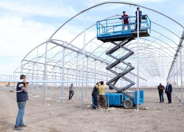 Eksi 35'leri gören Erzurum'da, jeotermal kaynaklarla domates üretilecek