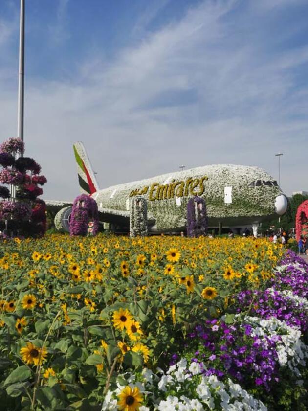 Bir Metaverse Rüyası: Dubai Miracle Garden