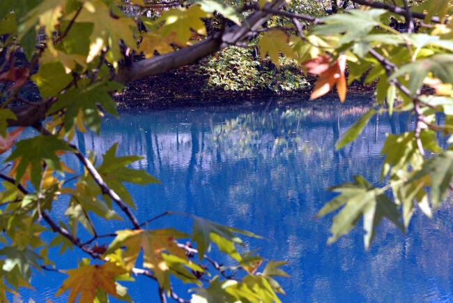 Kahramanmaraş'ın gizemli cenneti: Yeşilgöz