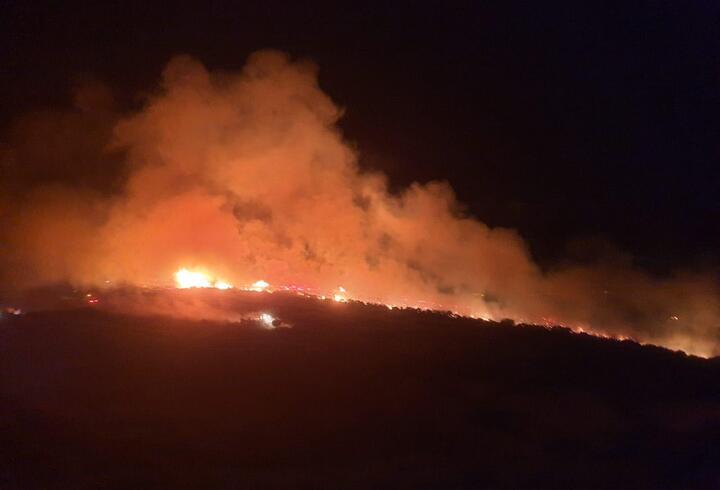Manisa'da makilik alanda yangın 