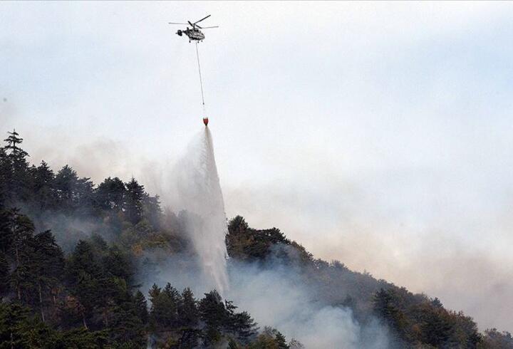 SON DAKİKA: OGM'den orman yangınları açıklaması