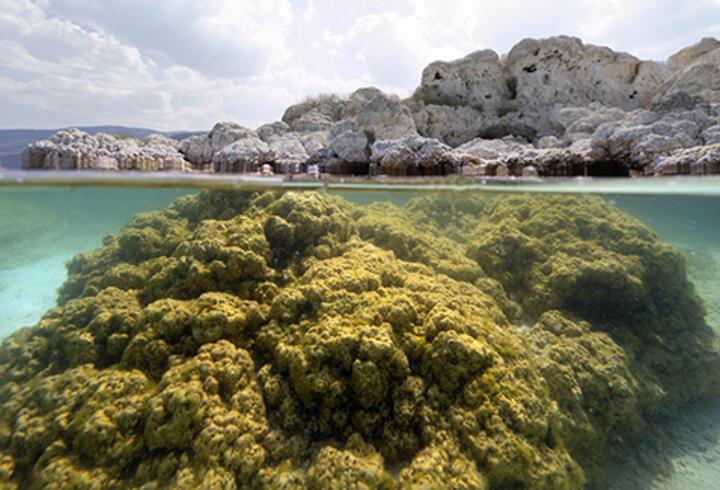 Salda Gölü'nün su altı zenginliği bilimsel çalışmalar için görüntülendi