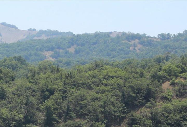 Bingöl'de ormanlık alanlara girişler 10 Ekim'e kadar yasaklandı