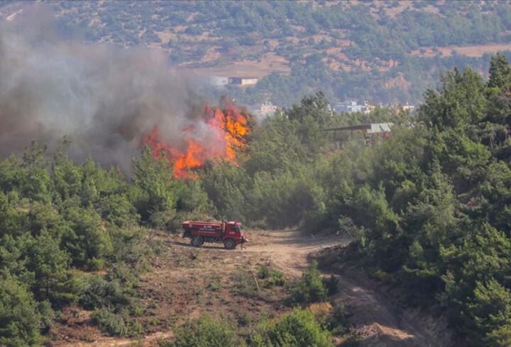 'Muğla ve Antalya'da ormanların sadece yüzde 5'i yangınlardan etkilendi'