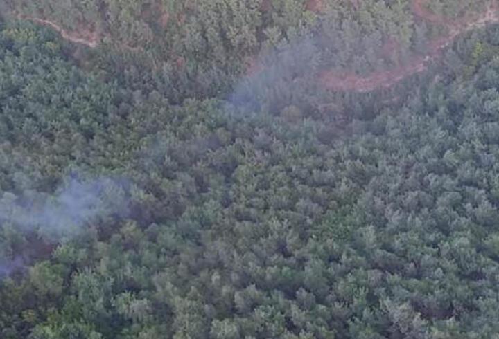 Manisa'da yıldırım düştü, orman yangını çıktı