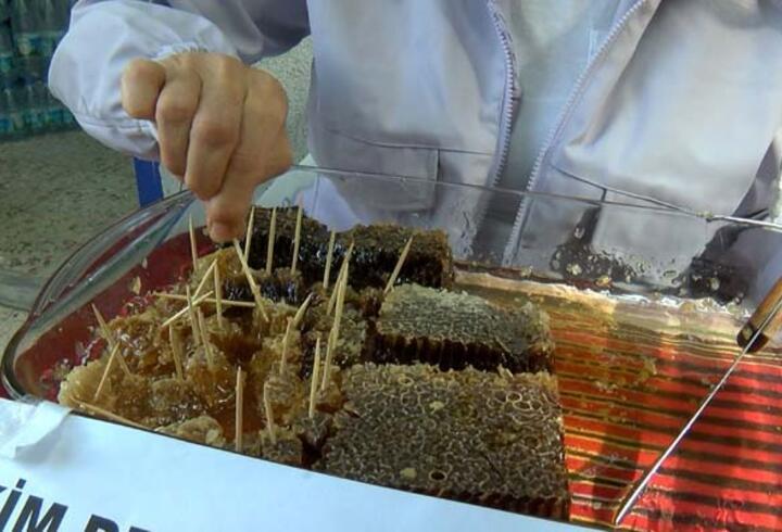 Kadıköy'de 4 ay önce kurulan arı kovanında yetişen ballar mahalle sakinleriyle buluştu