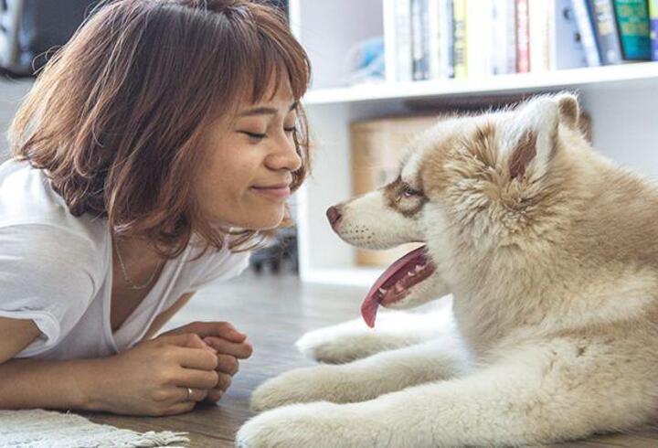 Evcil hayvanlar zihinsel sağlığınızı nasıl iyileştirebilir?