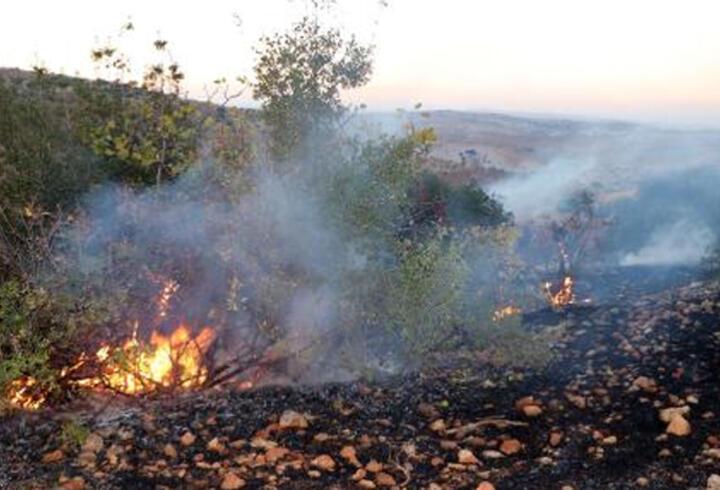 Gaziantep'te çıkan yangında 50 dönüm alandaki ağaç zarar gördü