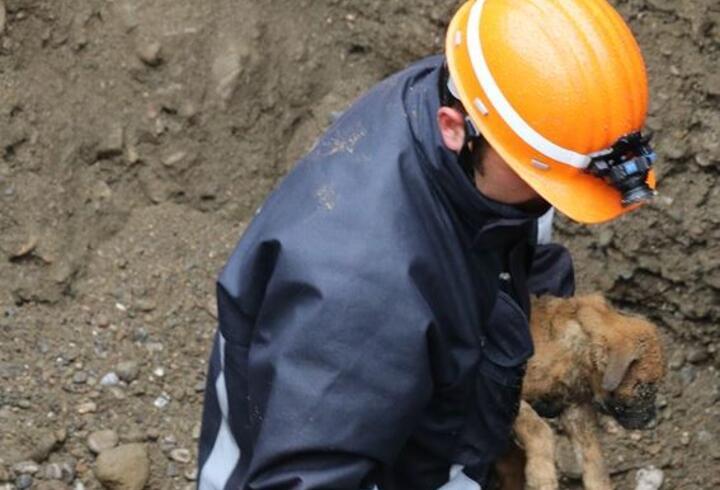 5 metrelik kuyuya düşen köpek iş makinesi yardımıyla kurtarıldı
