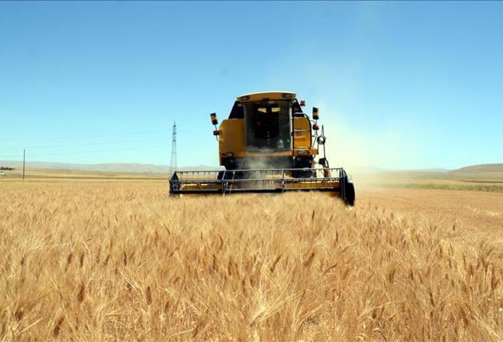 TÜİK'ten korkutan tahmin: Buğdaydan nohuta pek çok ürün risk altında