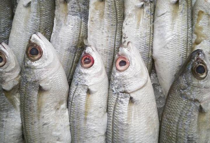 Omega-3 zengini balıklar bağışıklığı güçlendiriyor