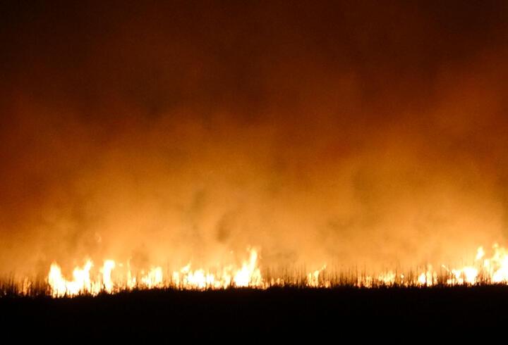 Yüksekova'daki Nehil Sazlığı'nda 2 gün sonra yine yangın