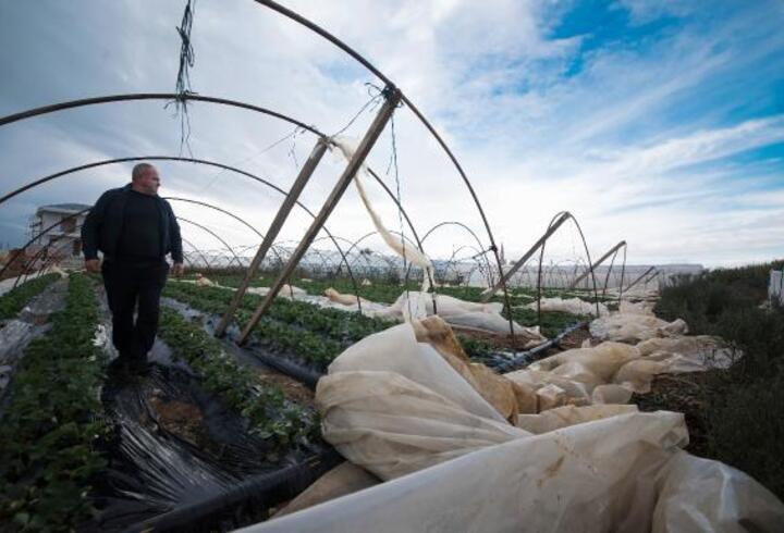 Antalya'da yağmur ve fırtına: Tarım arazileri zarar gördü