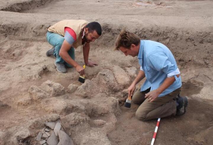 'Saray' niteliğinde anıtsal yapı tespit edildi