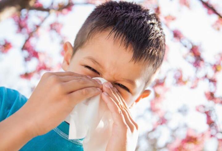 Tedavi edilmeyen alerji okul başarısını olumsuz etkiliyor