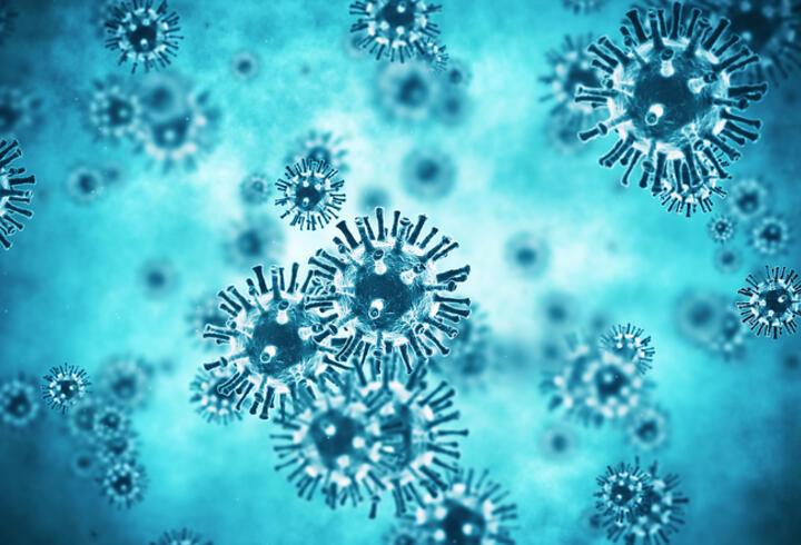 Lassa virüsü nedir, nasıl bulaşır, belirtileri neler? Lassa ateşi yıllar sonra ilk kez görüldü!