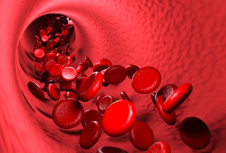 Kanın Görevleri Nelerdir? Kan Vücutta Ne İşe Yarar?